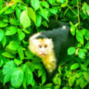 Meet your Posher, Gillian